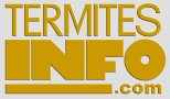 LOGO TERMITES-INFOS