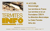 infos termites