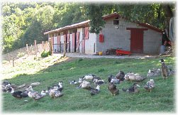 LA FERME BARTHES